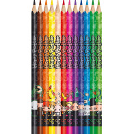 12 matite colorate con personaggi Harry Potter.
