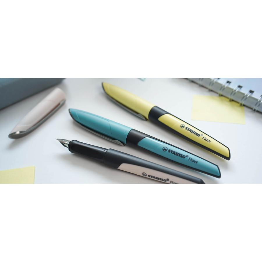 Penna Stilografica Flow Stabilo Ricaricabile e Cancellabile (Punta Media 0,5mm)