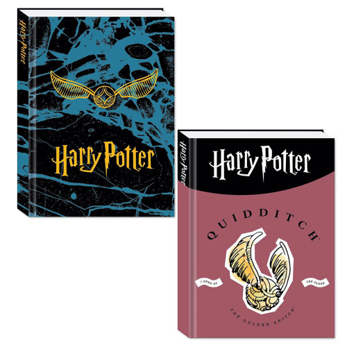 Diario Harry Potter Quidditch NON Datato per la Scuola, Formato Standard, 10 Mesi