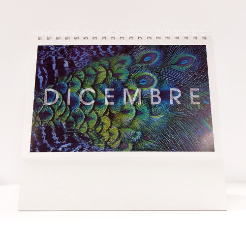 Ogni inizio mese del calendario è decorato con coloratissime fotografie a ingrandimento macro a tema naturale.