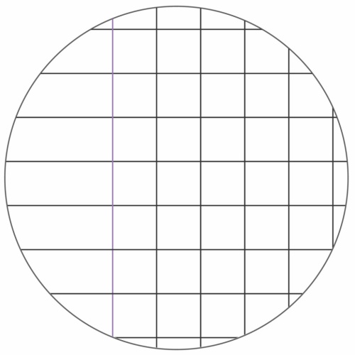 Ricambi rinforzati per quaderni ad anelli A4 rigatura Q (quadretti 5 mm con margini)