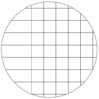 Ricambi rinforzati per quaderni ad anelli A4 rigatura Q (quadretti 5 mm con margini)