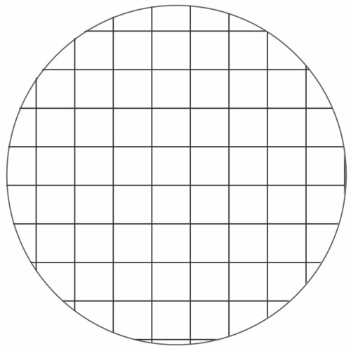 Ricambi rinforzati per quaderni ad anelli A4 a quadretti 5 mm (quadretti medi)